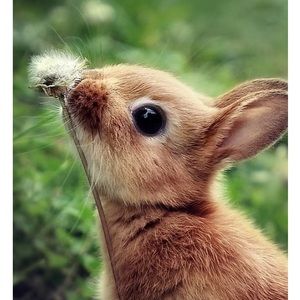 Meet your Posher, Agnese